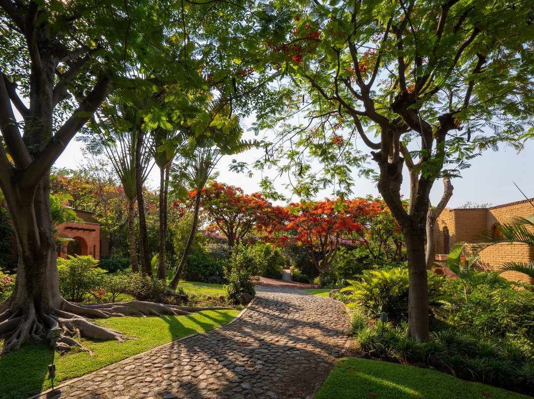 Misión Del Sol Resort & Spa主图