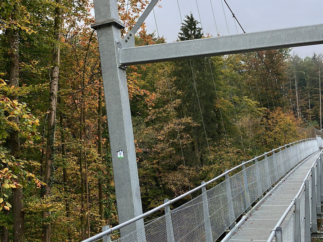 Hängebrücke Irreler Wasserfälle景点图片