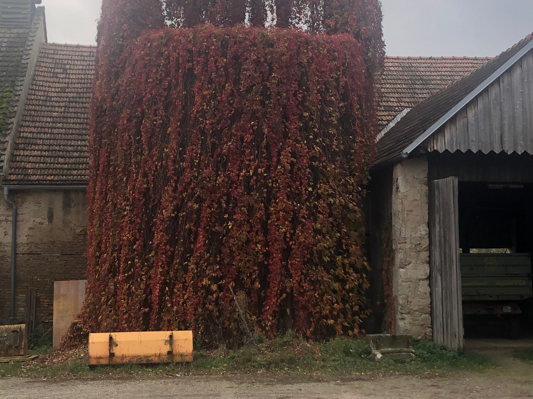 Gut Oberstockstall主图