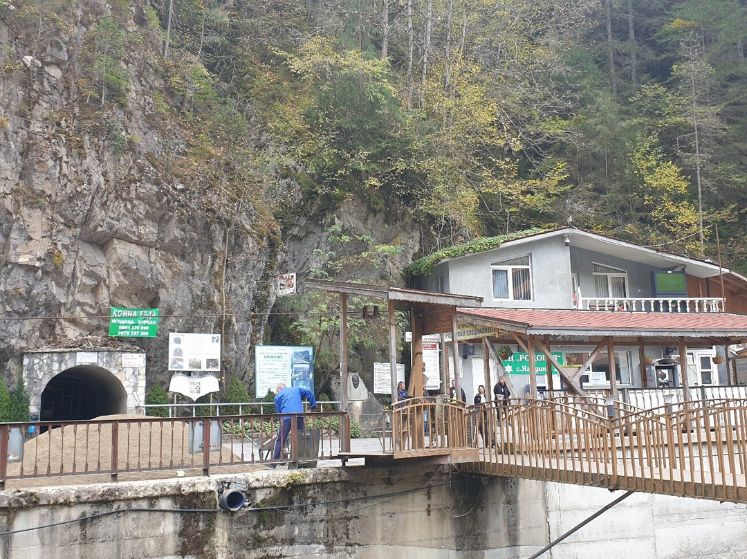 Yagodina Cave-Yagodina必去景点