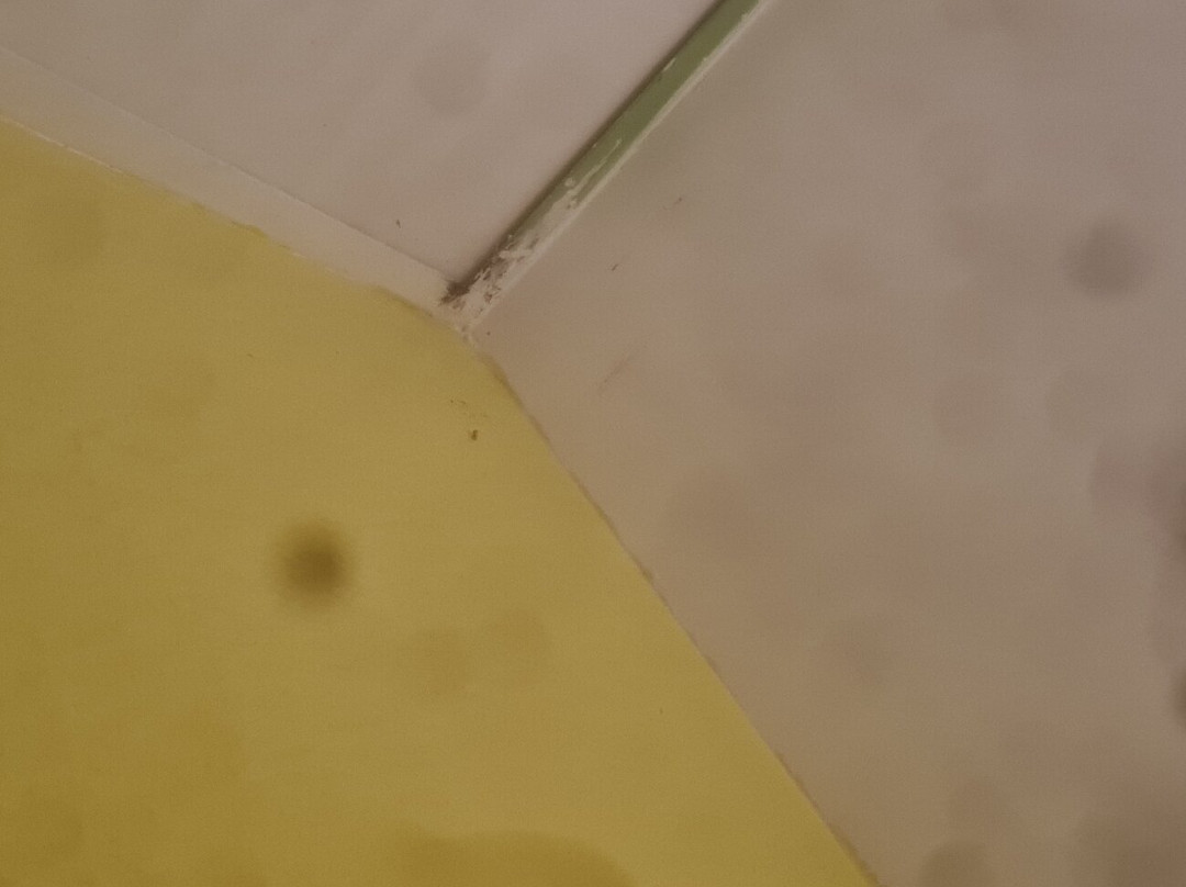 Lemon Hotel Le Coteau Roanne