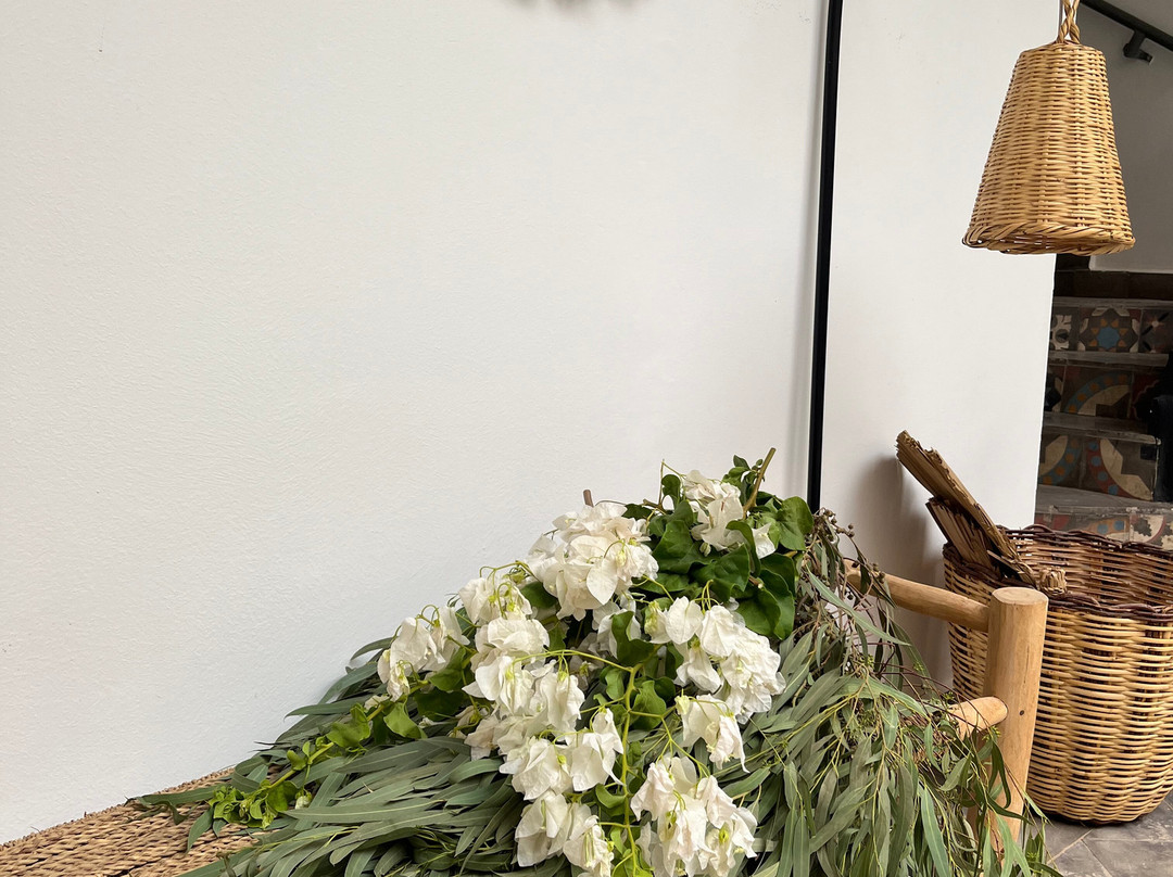 Le Patio Du Lac主图