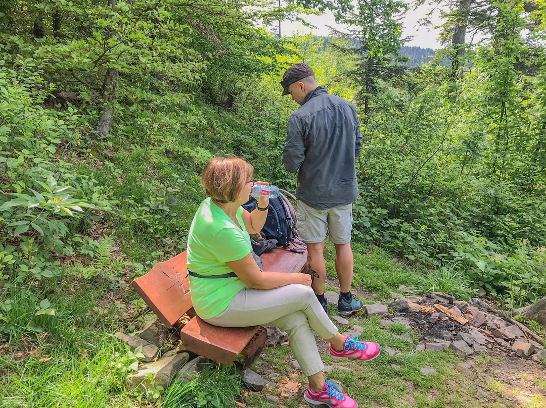 Punkt Widokowy Porąbka-Porabka必去景点