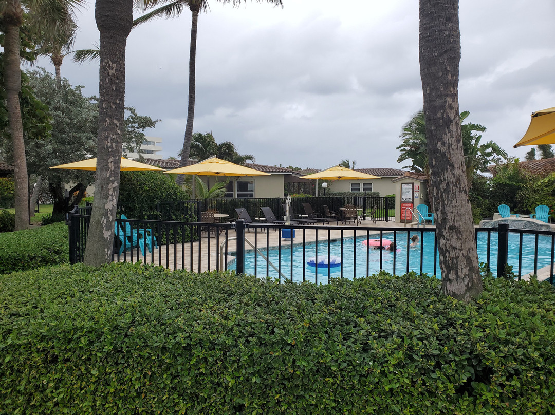 Royal Flamingo主图