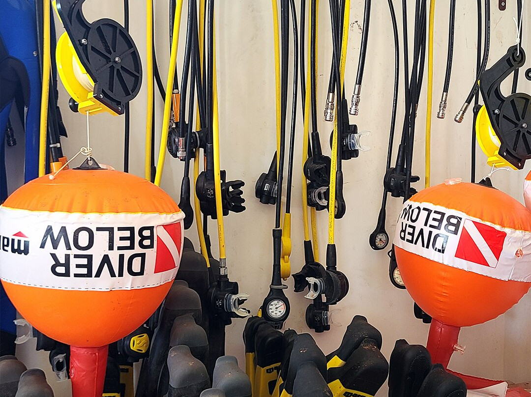 Fun Divers Zanzibar-奔巴岛必去景点