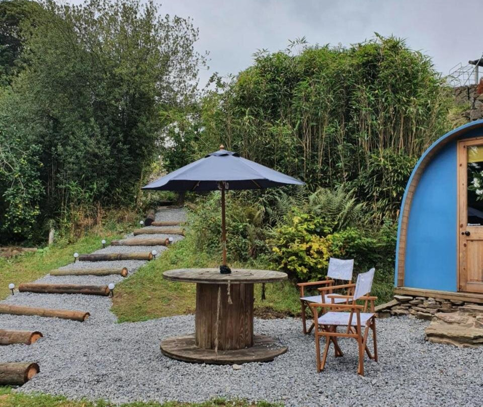 Gower Pods