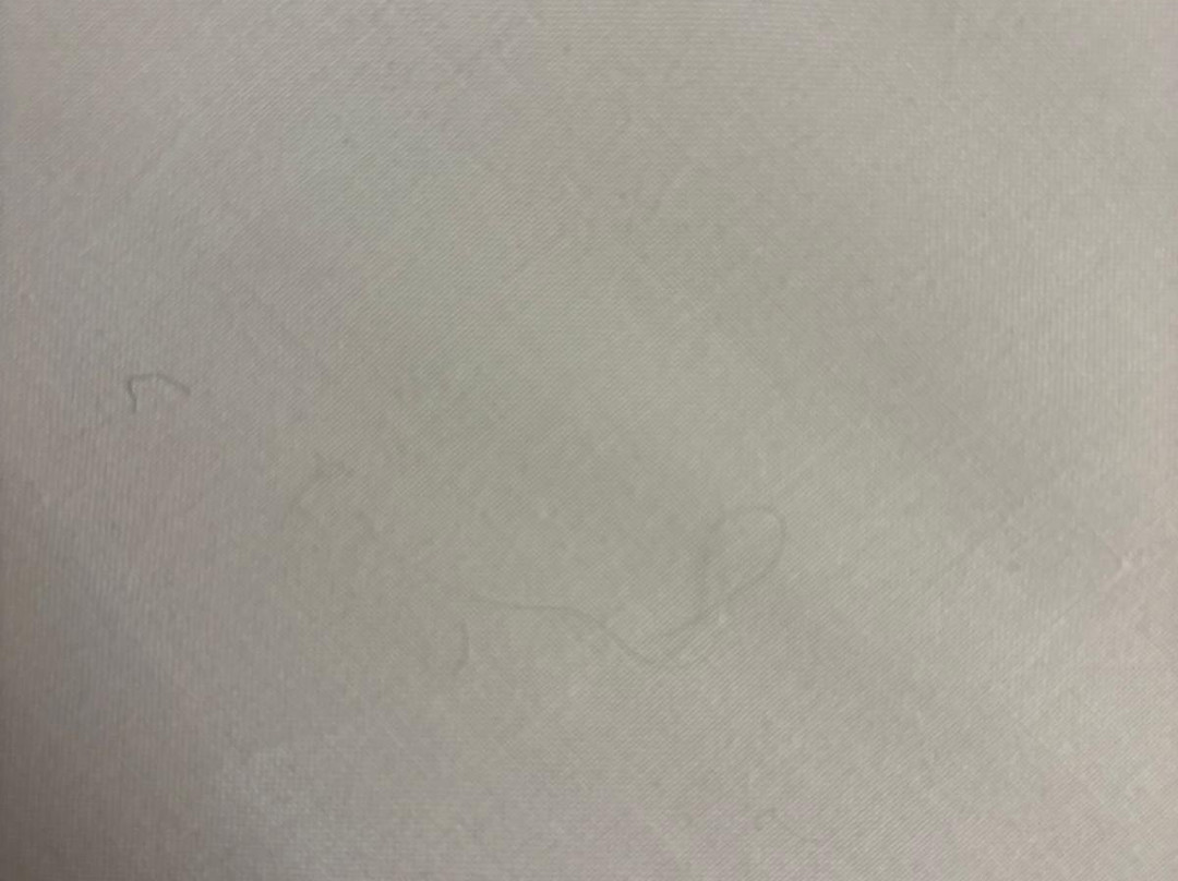 罗多雷瀑布酒店主图