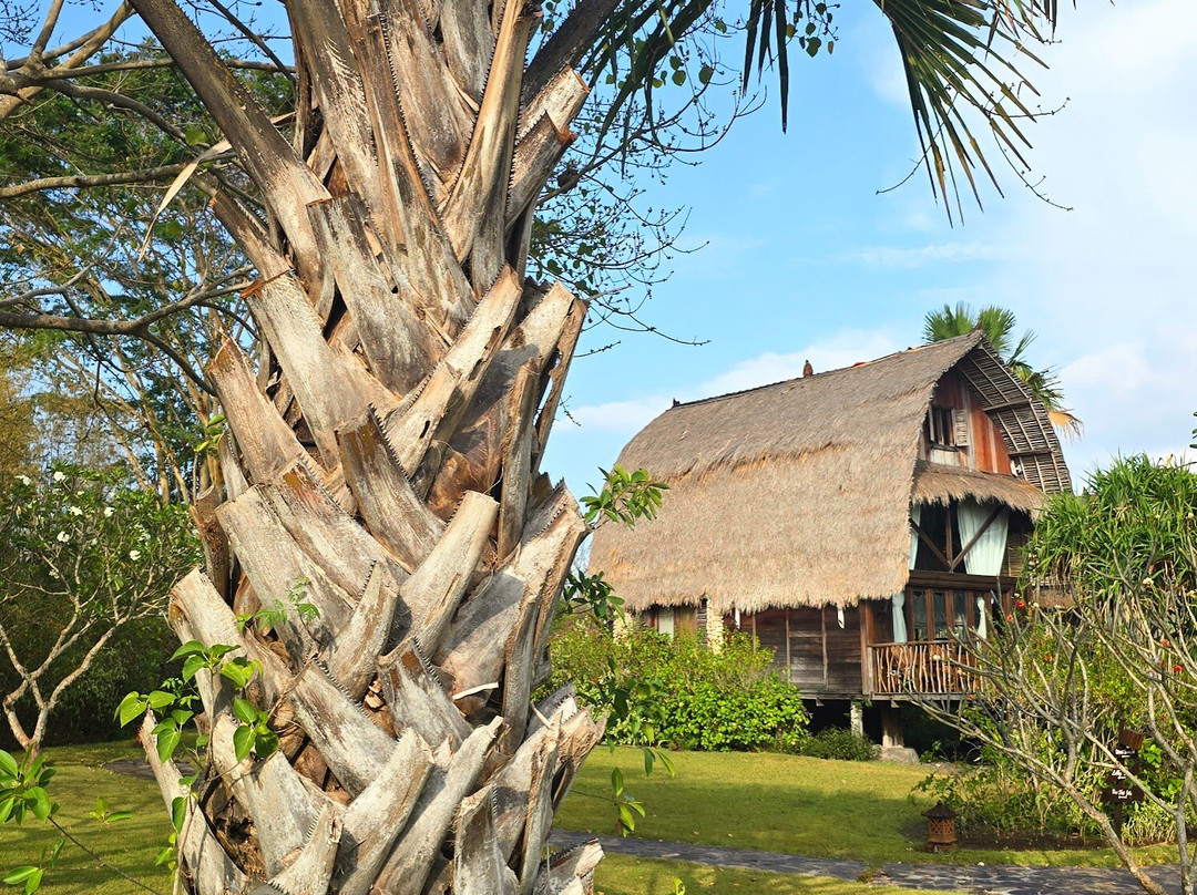 努弗斯伽瓦纳假日及温泉酒店主图