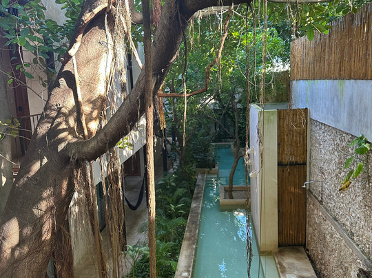 Treehouse Boutique Hotel主图