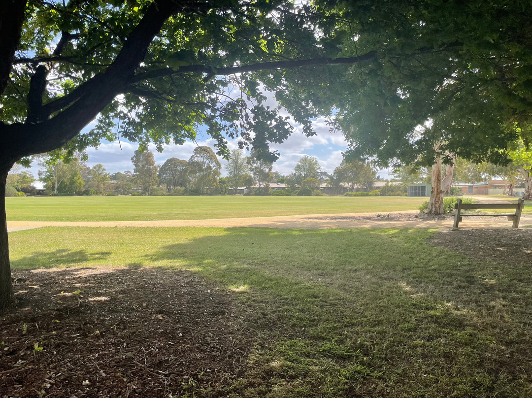 Stead Reserve-塞尔必去景点