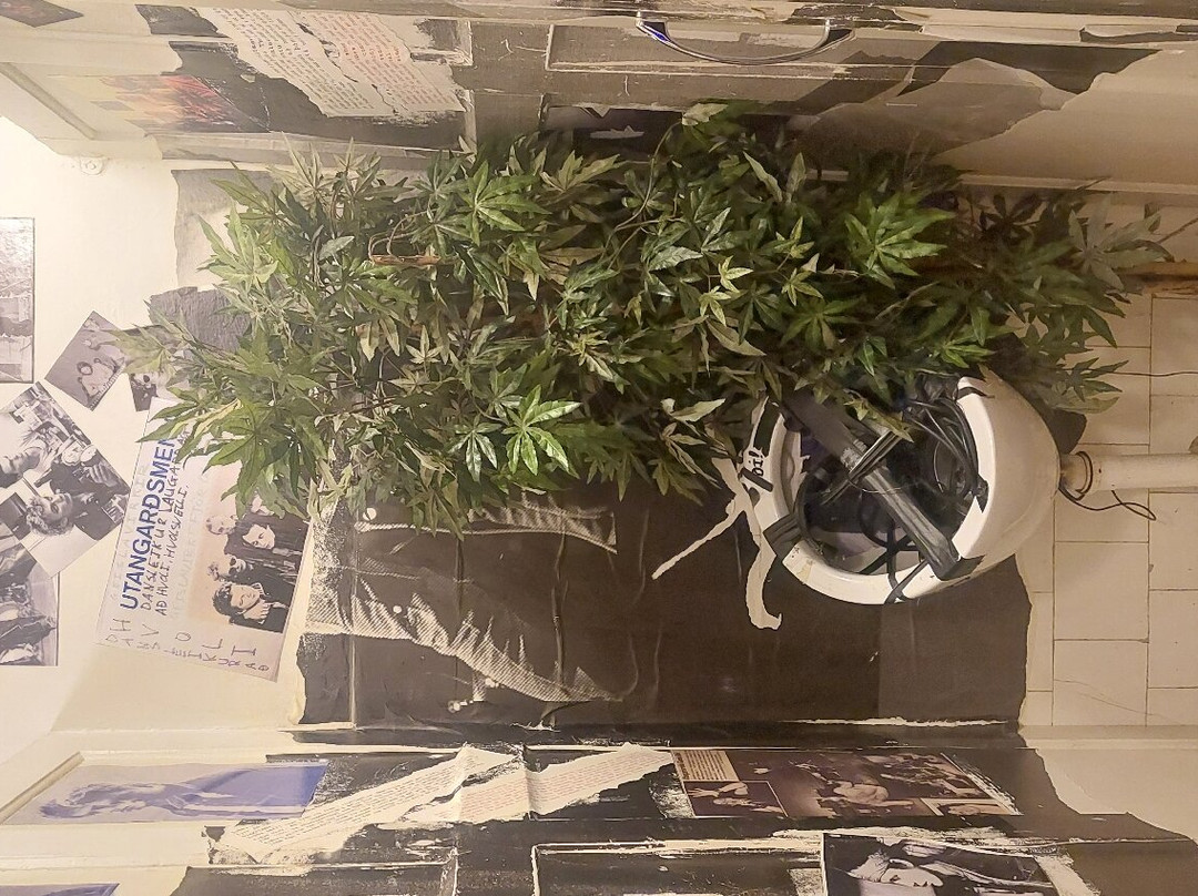 The Icelandic Punk Museum-雷克雅未克必去景点