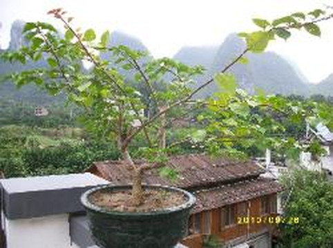 阳朔水墨院子（20元人民币景区店）主图