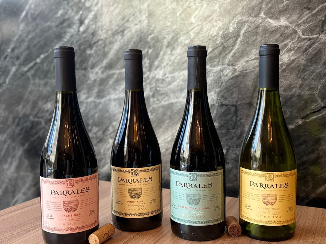 Sb Exclusivos Wine Bar-Itapema必去景点