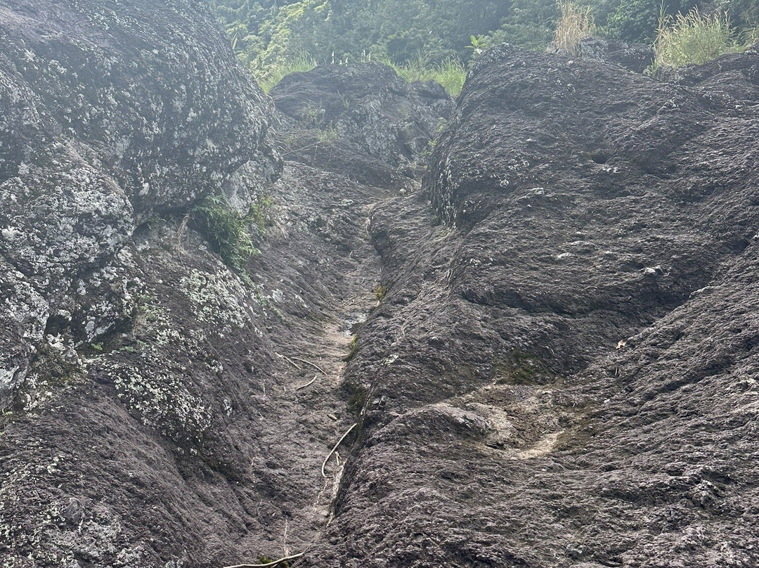 Toro Negro State Forest-波多黎各必去景点