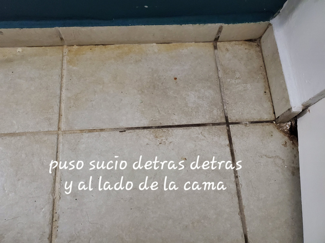 Aquarius Vacation Club主图