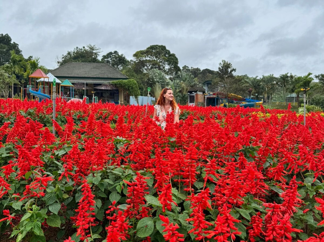 Dambri Waterfall-保禄县必去景点
