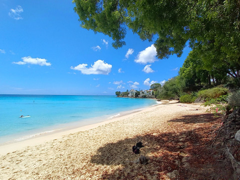 Ward's Tours Ltd.-布里奇顿必去景点