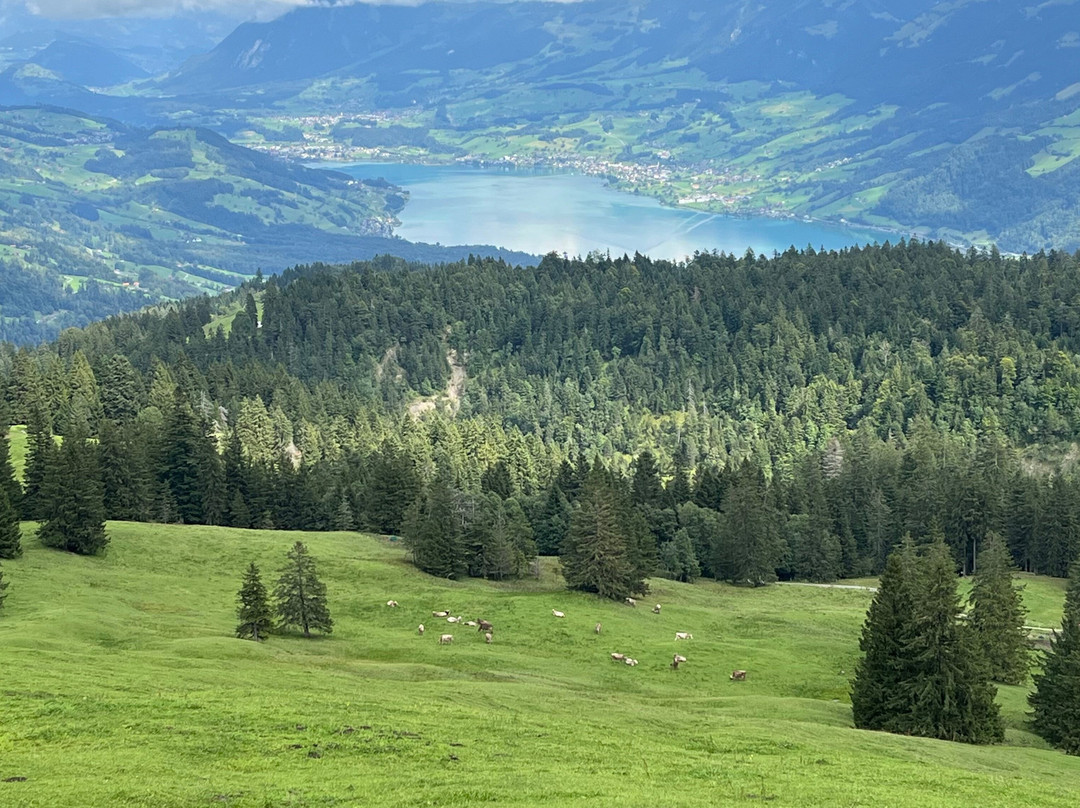 Panoramastrasse Sörenberg-Giswil-Giswil必去景点
