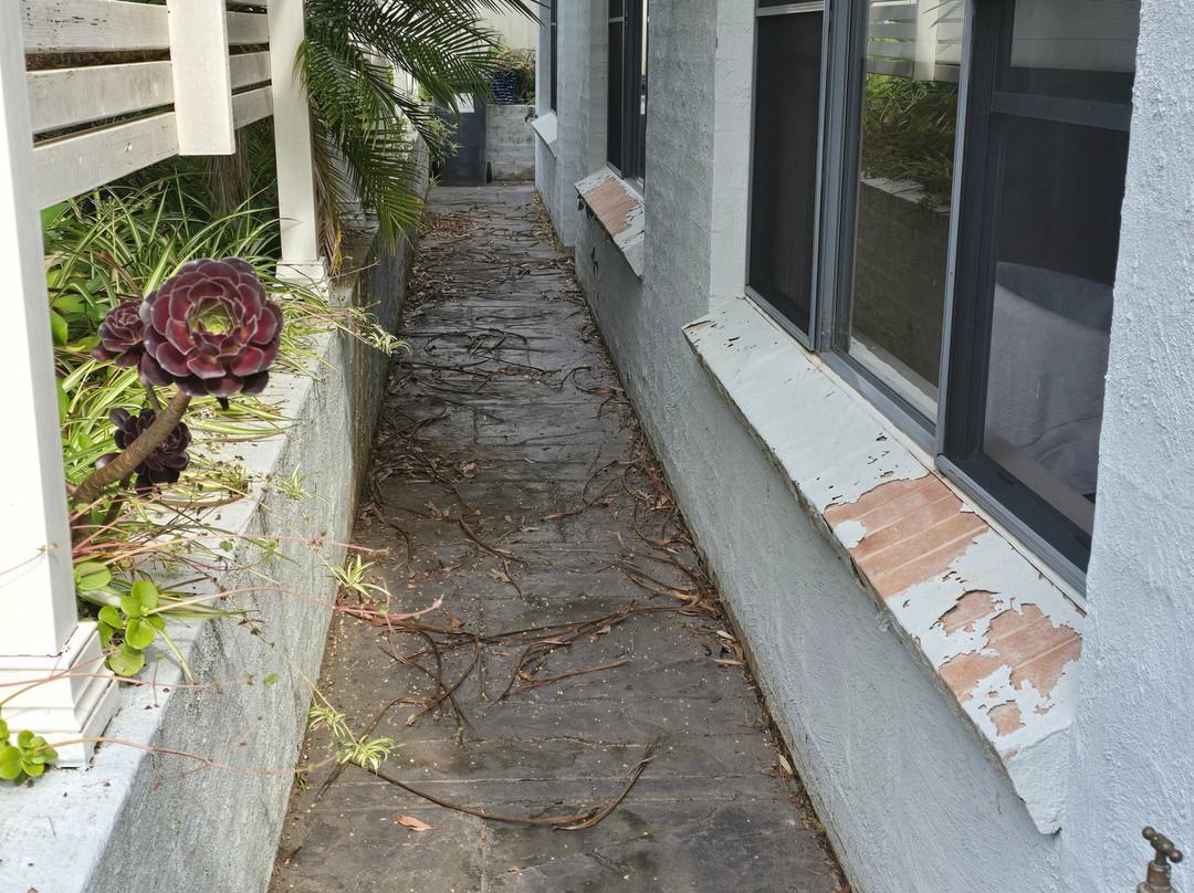 Ceespray on Owen主图