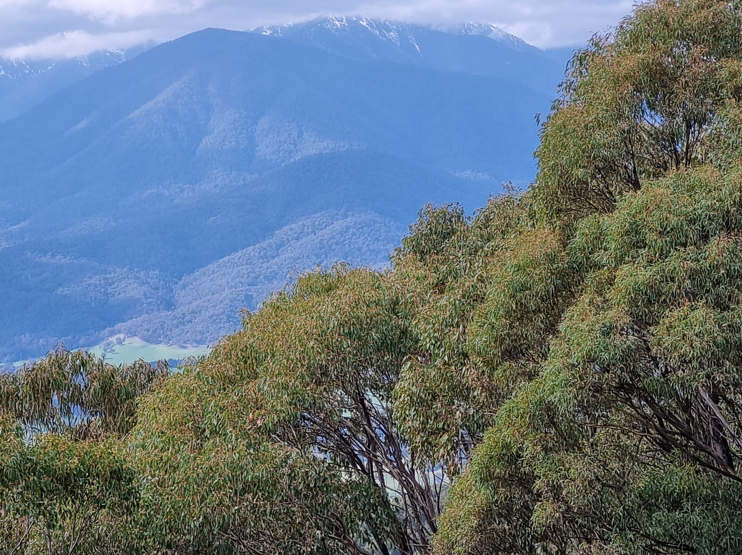 Bright Colonial Motel主图