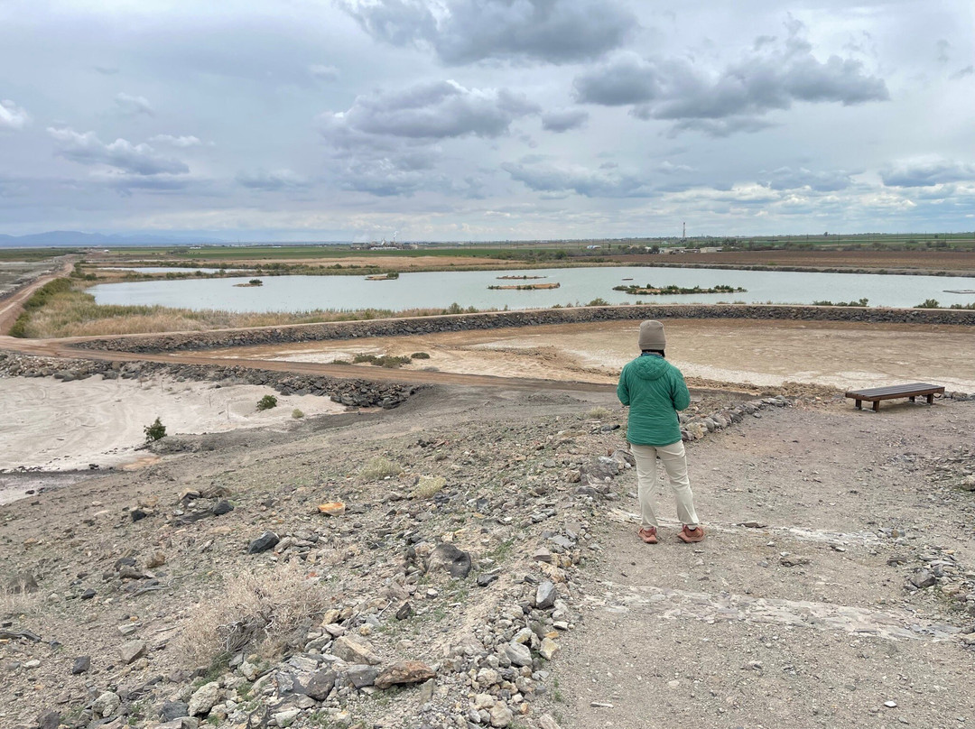 Sonny Bono National Wildlife Reserve-Calipatria必去景点