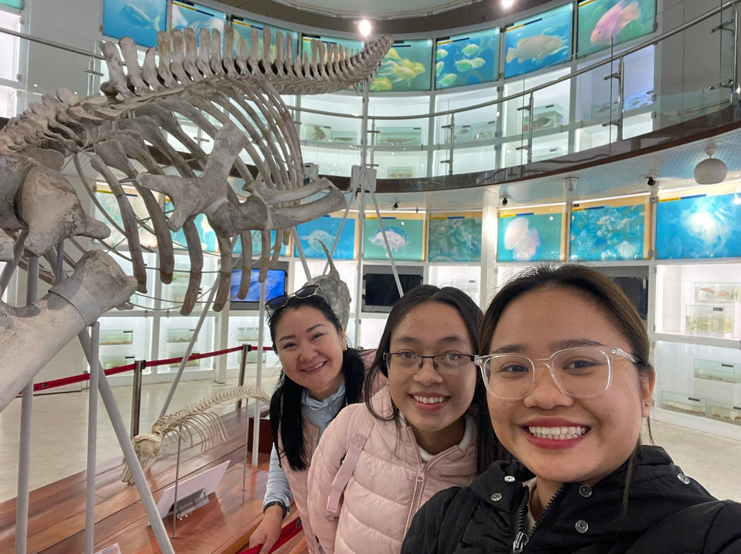 Halong Happy Travel-Ha Long City必去景点