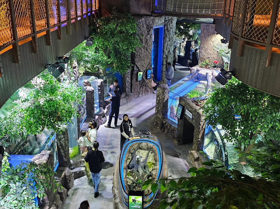 Marassi Aquarium & Underwater Zoo景点图片