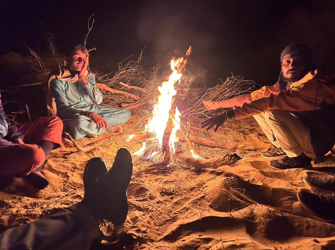 Thar Desert Tours景点图片