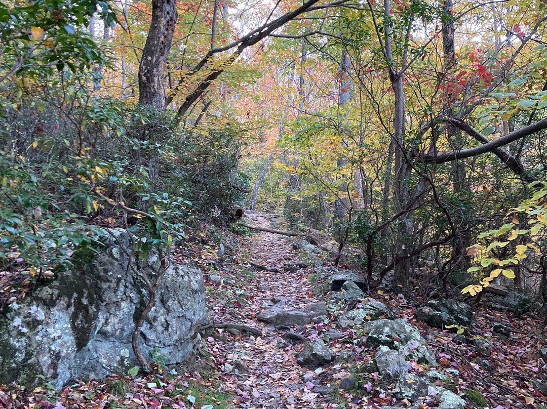 Lewis Falls Trail-雪兰多国家公园必去景点