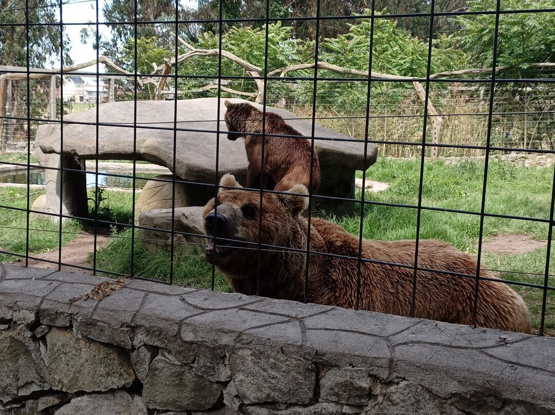 Zoo de Batan-Batan必去景点