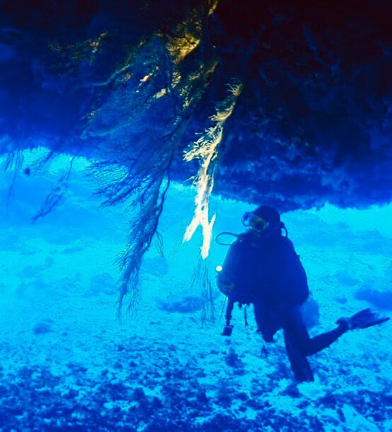 FishGuyz Scuba & Charter-加拉班必去景点