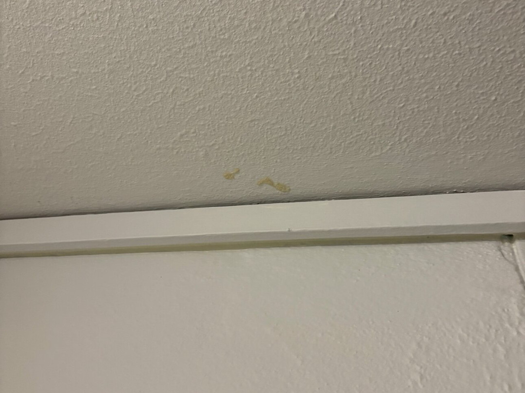 Canberra Accommodation Centre主图