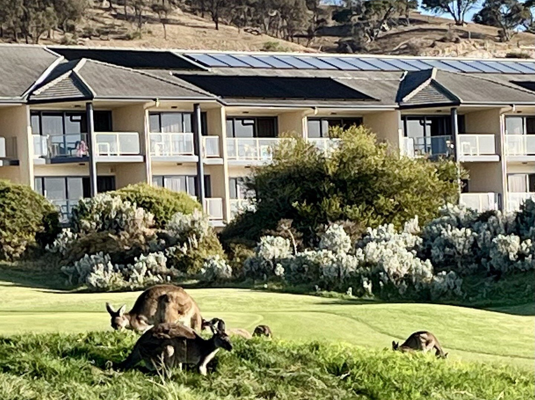 Links Lady Bay Resort主图