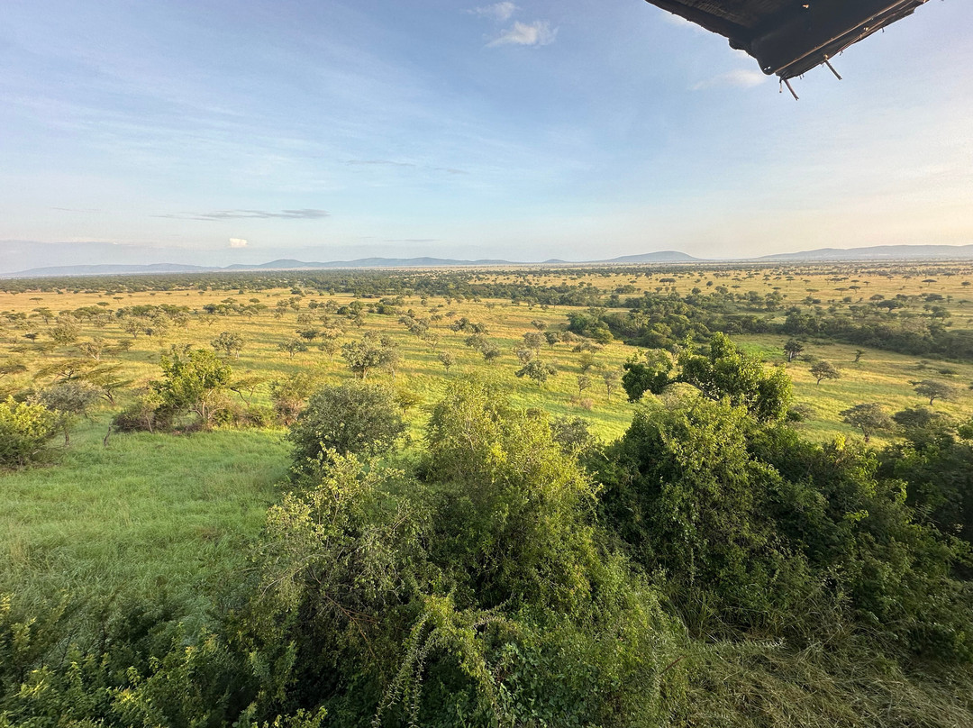 Masumin car hire & safaris-姆万扎必去景点