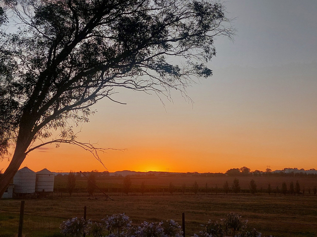 葡萄园汽车旅馆主图