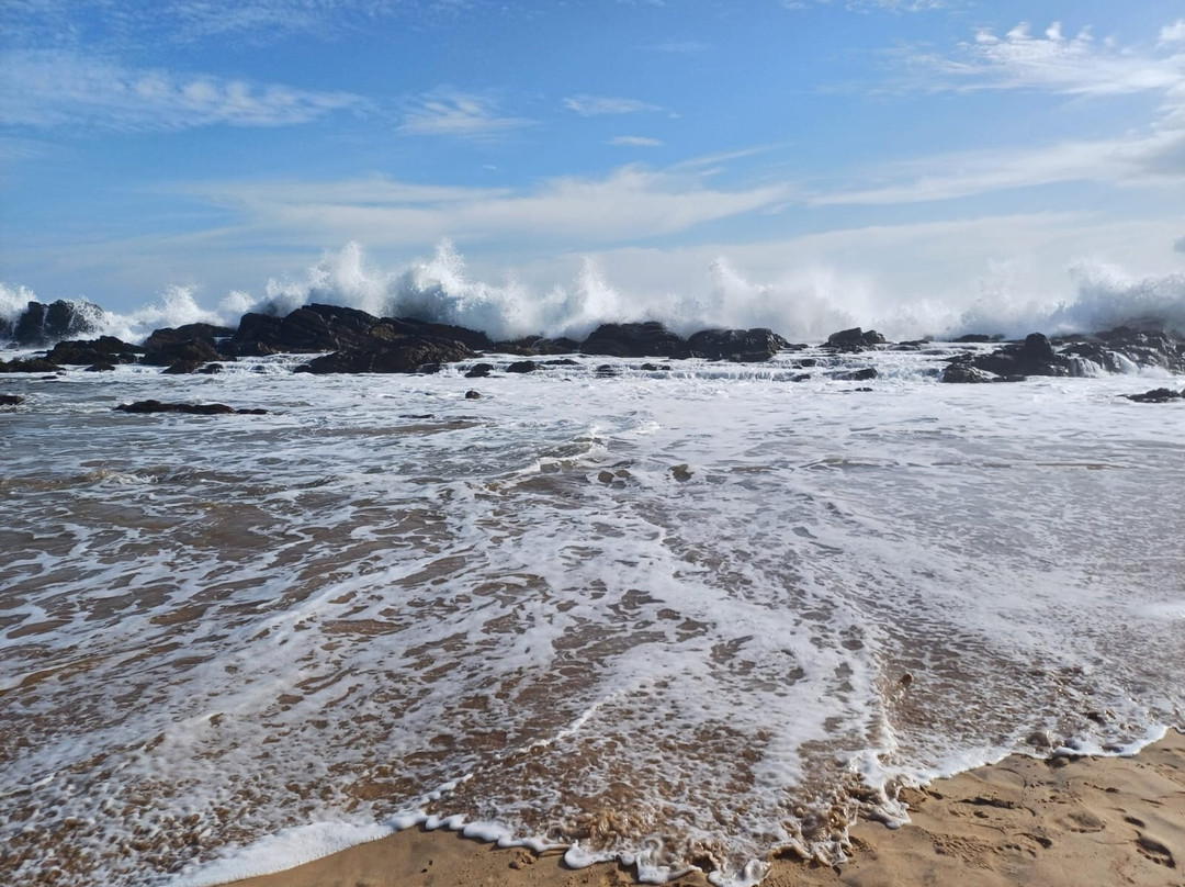 Turtle Point Batigama景点图片