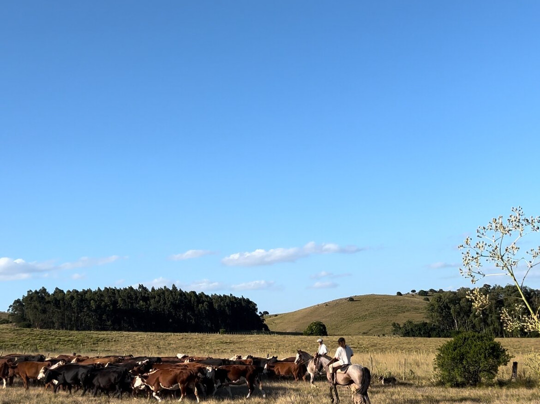 Estancia La Pilona Horse Farm-Mariscala必去景点