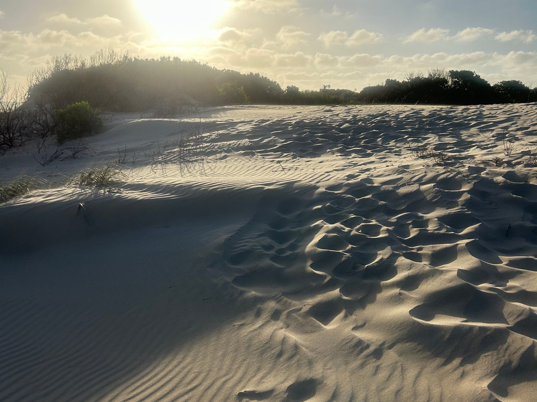 Goolwa Beach-Goolwa必去景点