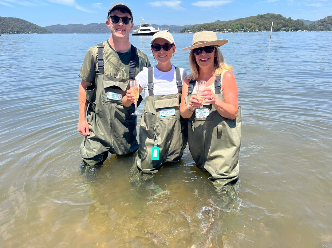 Sydney Oyster Farm Tours景点图片