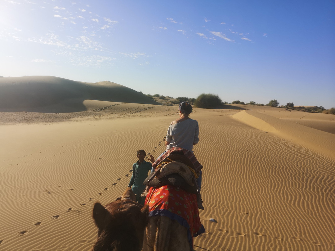 Thar Desert Tours景点图片