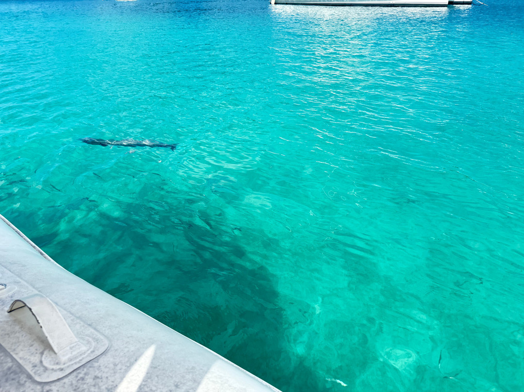 Wharfside Watersports-克鲁兹湾必去景点