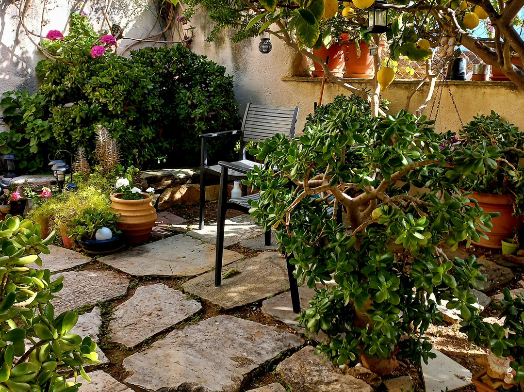 Antouanetta Apartments主图