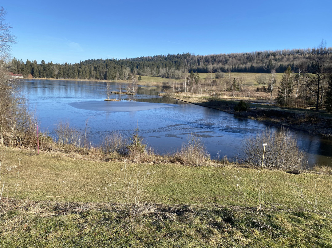 Charquemont酒店住宿-Hotel-Restaurant L'Etang du Moulin