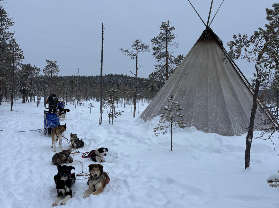 Wild Lapland-Rusktrask必去景点