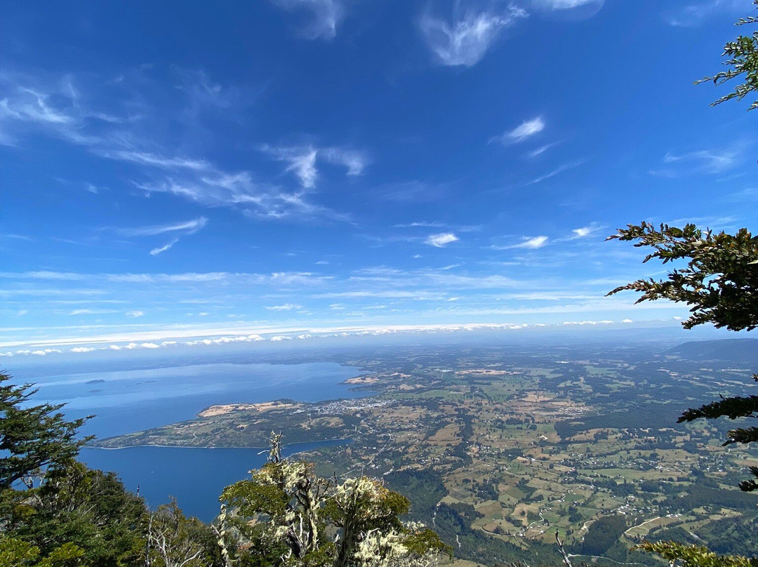 Parque Pico Toribio-Futrono必去景点