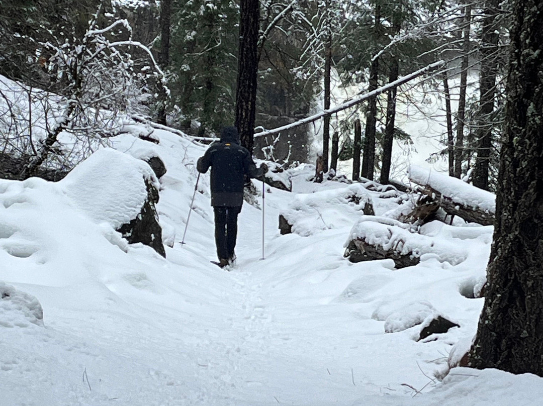 Summit Lofts Boutique Hotel主图