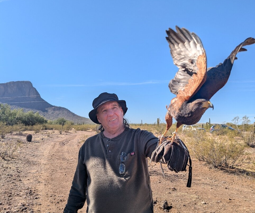 Sky Island Falconry Experience-图森必去景点