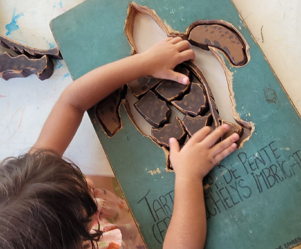 Projeto Tamar-乌巴图巴必去景点