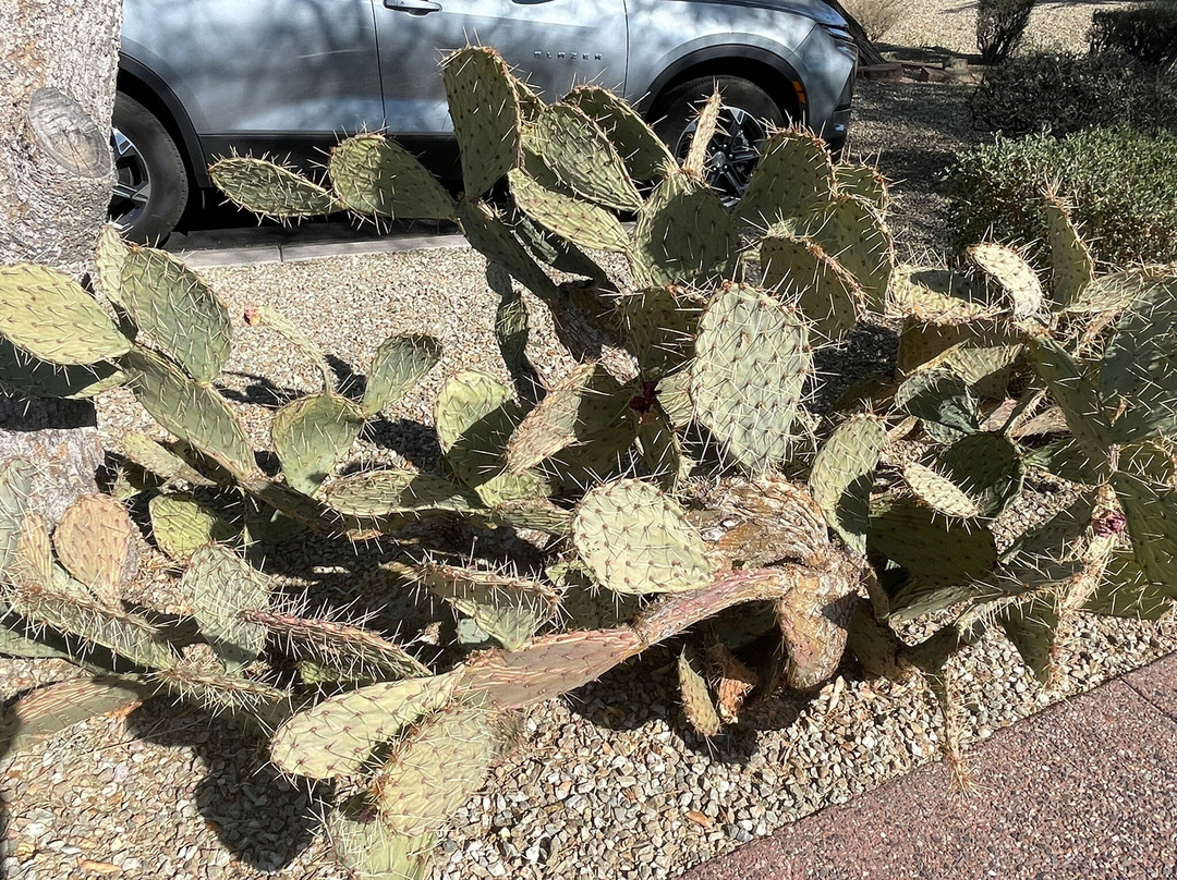 Phallic Rock-凯尔福利必去景点