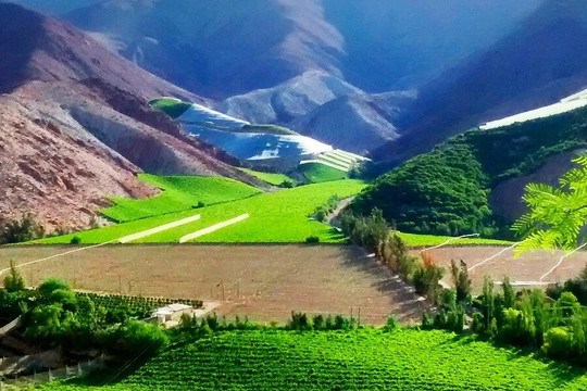 Rosotravel - Tallin, Estonia